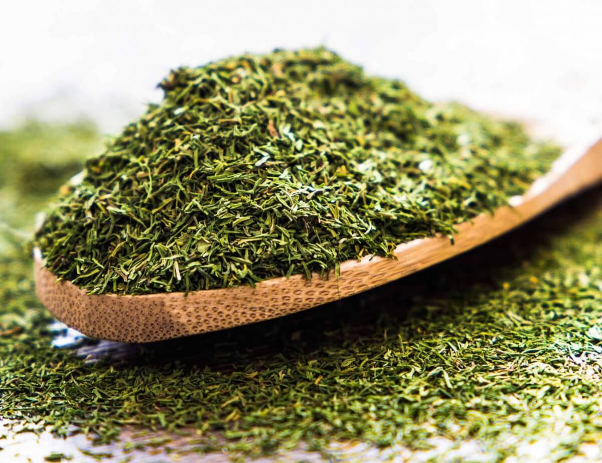 Dried Dill Leaves