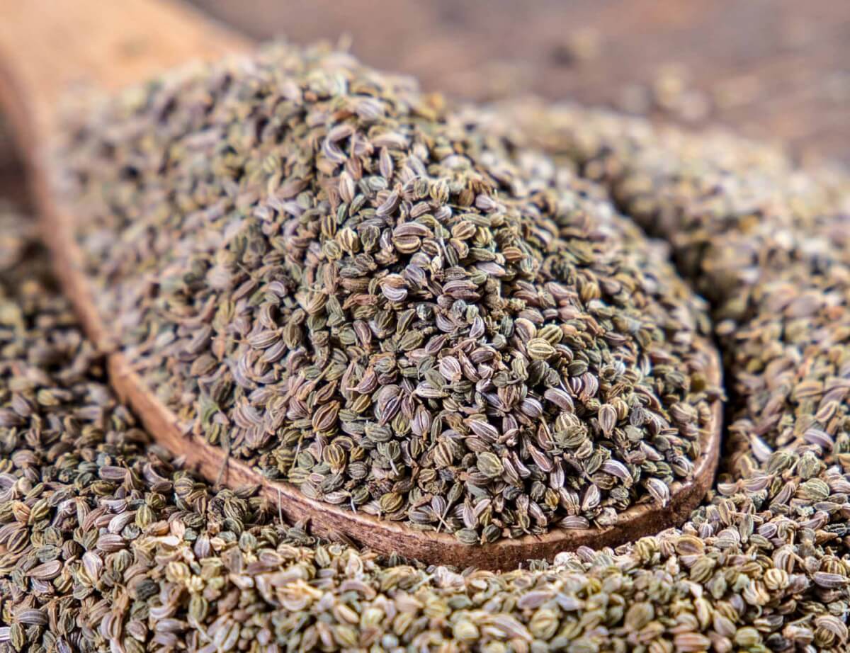 بذور البقدونس