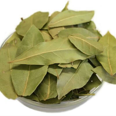 Laurel Leaves