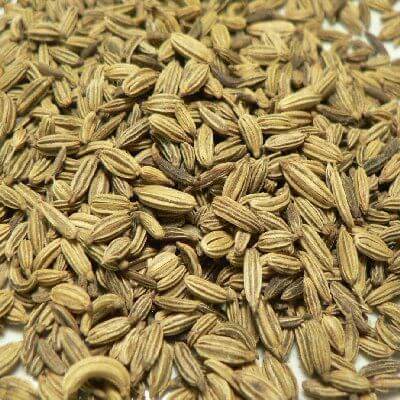Fennel Seeds